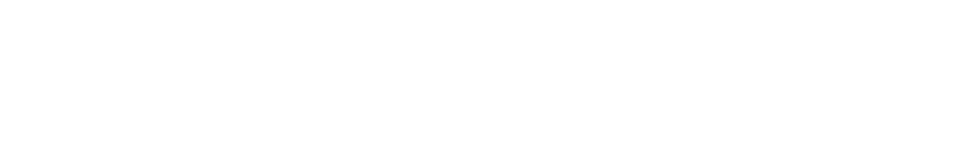 Megalogística